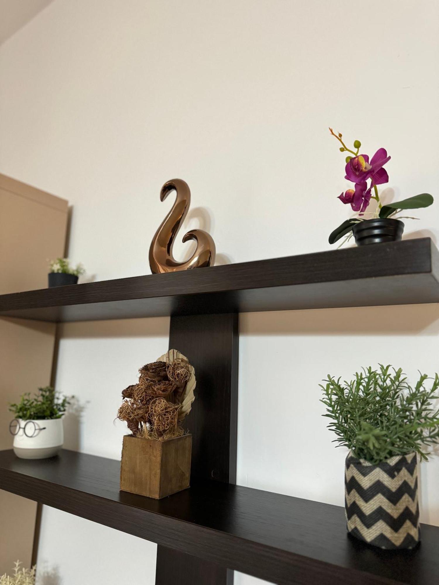 Ada'S Luxury Apartament&Studio - Old City Brassó Kültér fotó